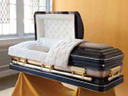 solid bronze casket